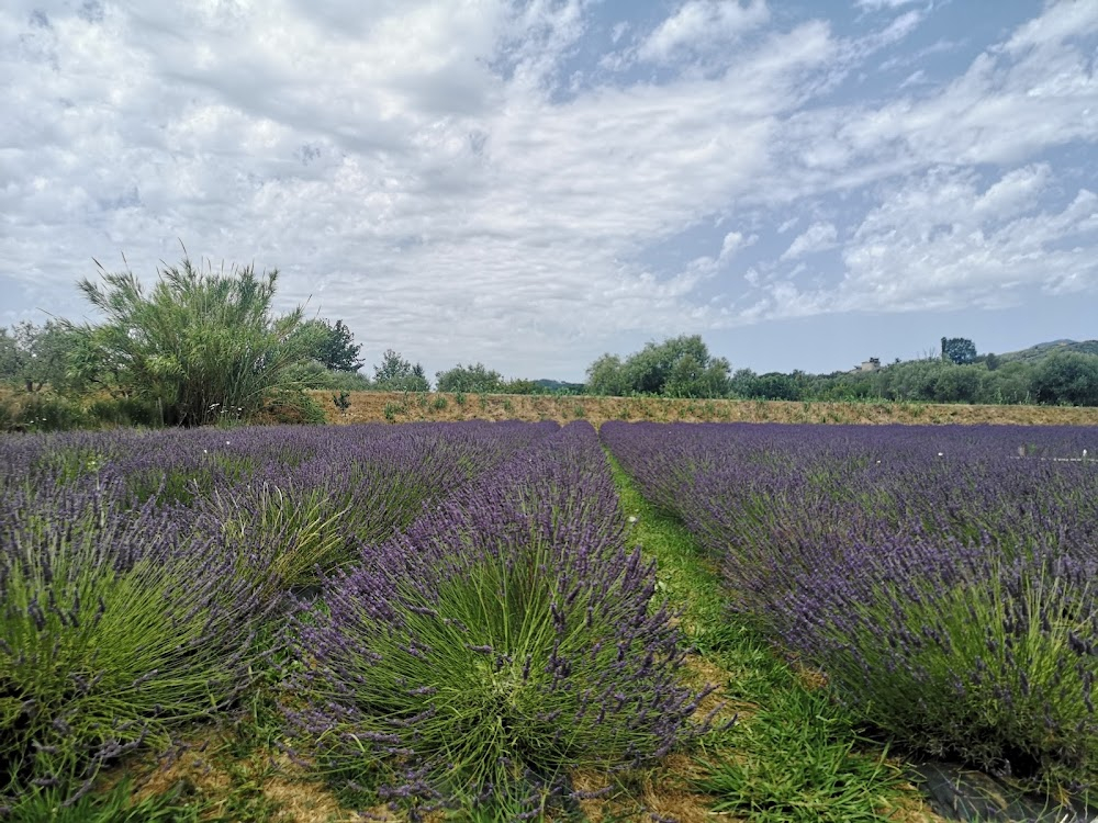 Un posto ideale per uccidere : location