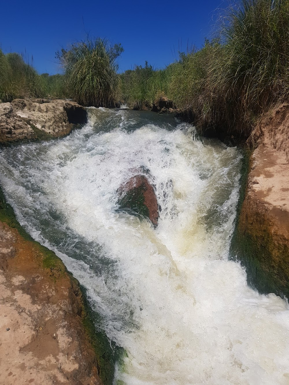 Vestigio : Arroyo/Bosque