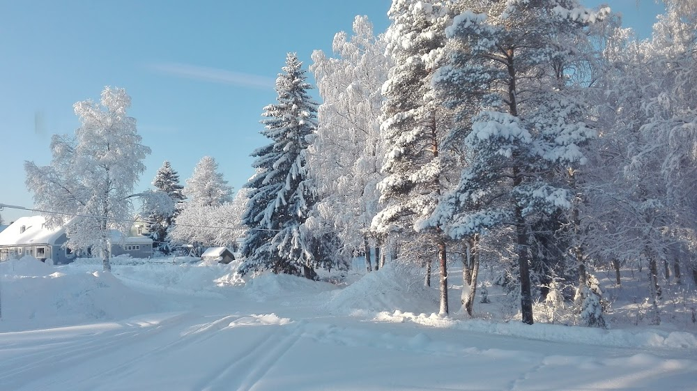 Vi hade iallafall tur med vädret ... : 