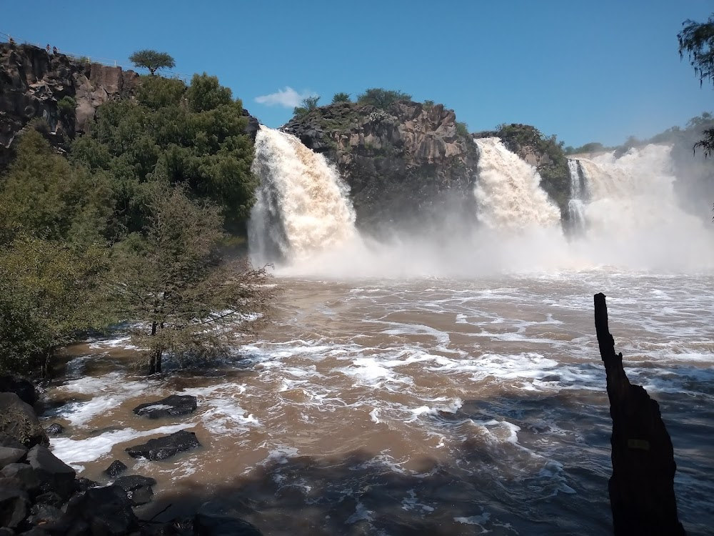 Víbora caliente : 