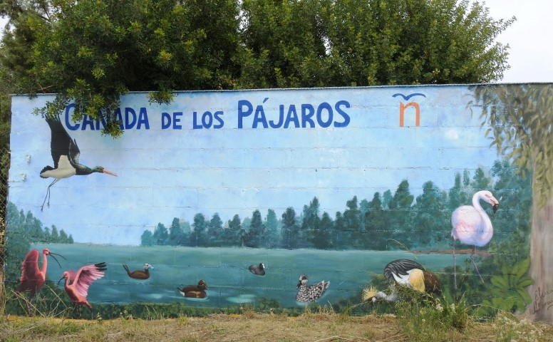 Voces del Bajo Guadalquivir : Exterior