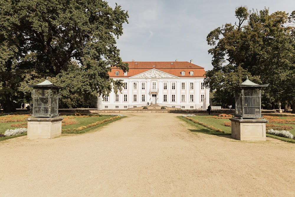 Sechse kommen durch die ganze Welt : castle