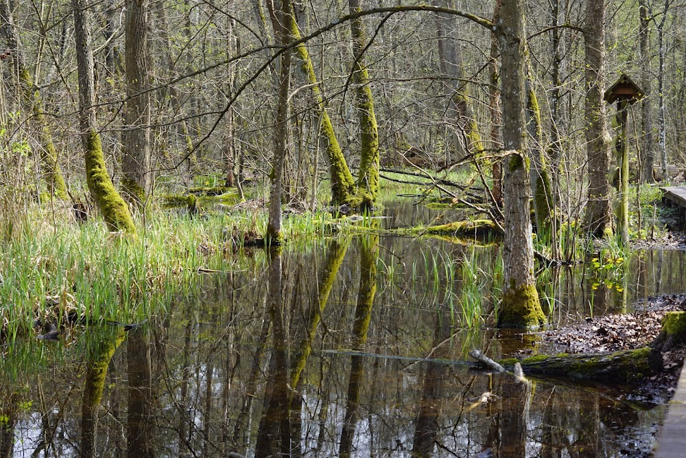 Ciotka Hitlera : national park