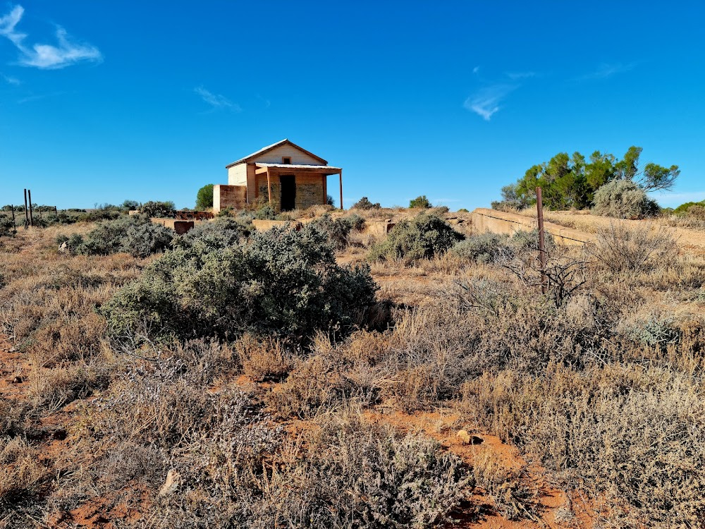 Wake in Fright : 