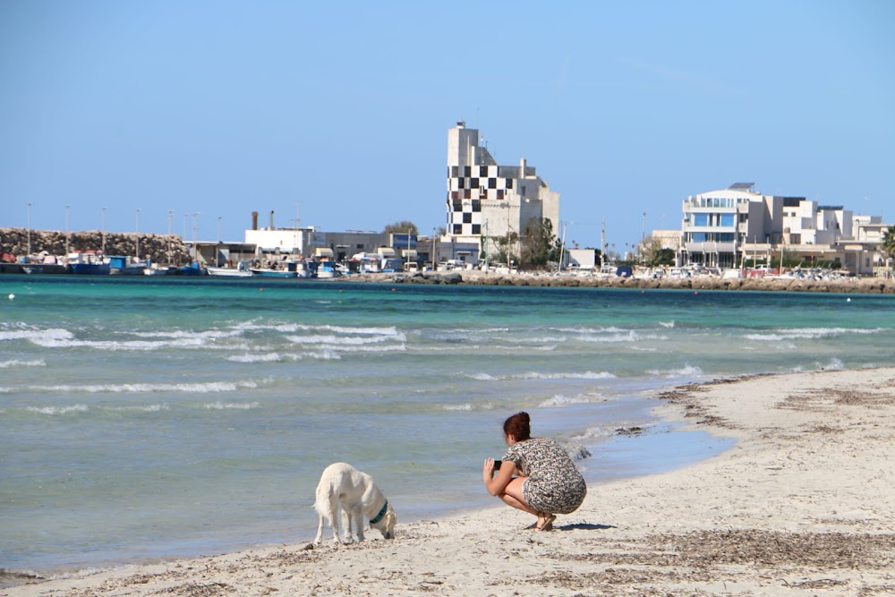 Walking on Sunshine : Beach scenes