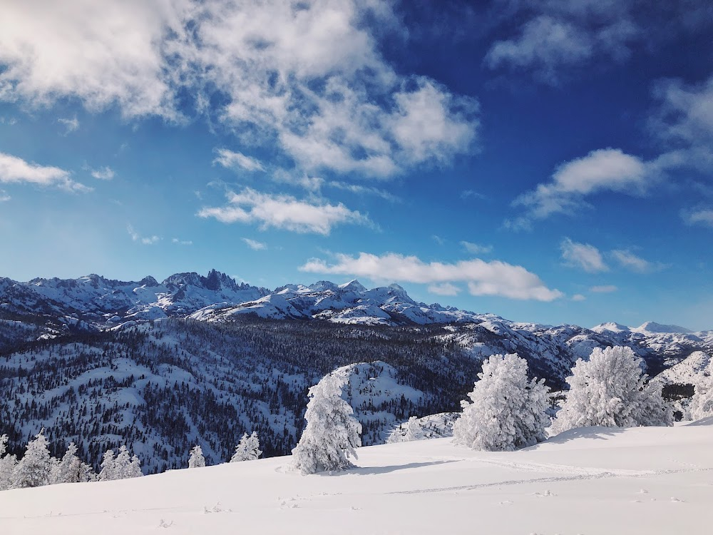 Washington Square : Alps scenes