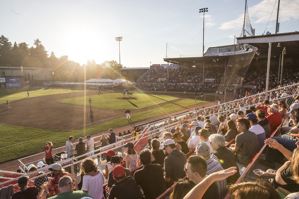 The Comrades of Summer : Baseball Stadium