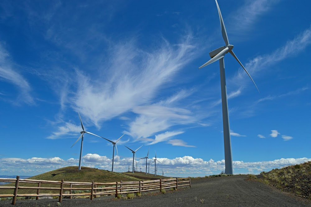 We Take the Low Road : wind farm