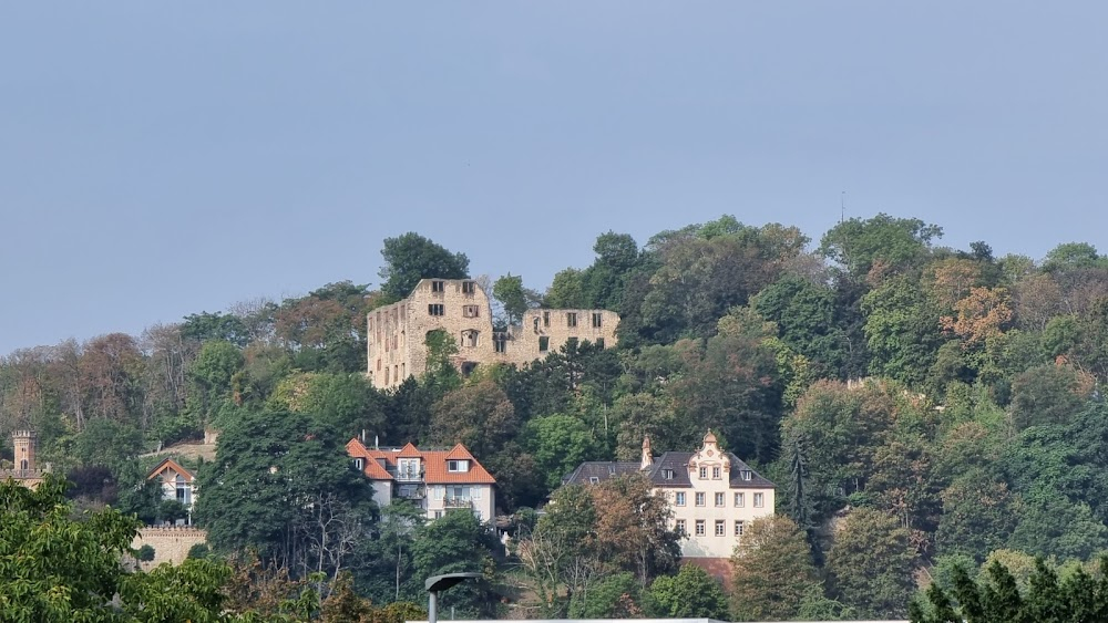 WE WERE - Die Zeit die uns bleibt : Hometown of Alexander Michalski