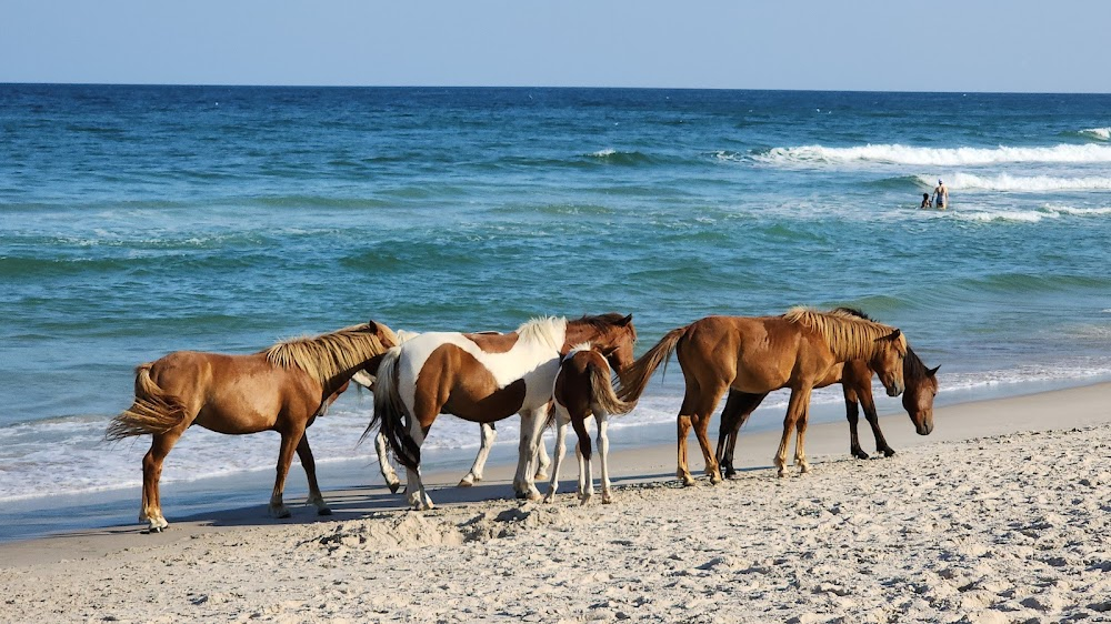 Wedding Crashers : beach scene