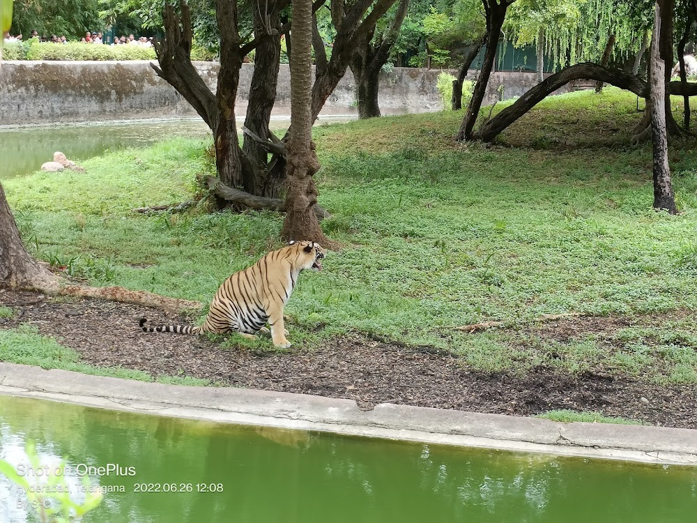 What Is the Noise at This Time? (Enna Satham Indha Neram) : 