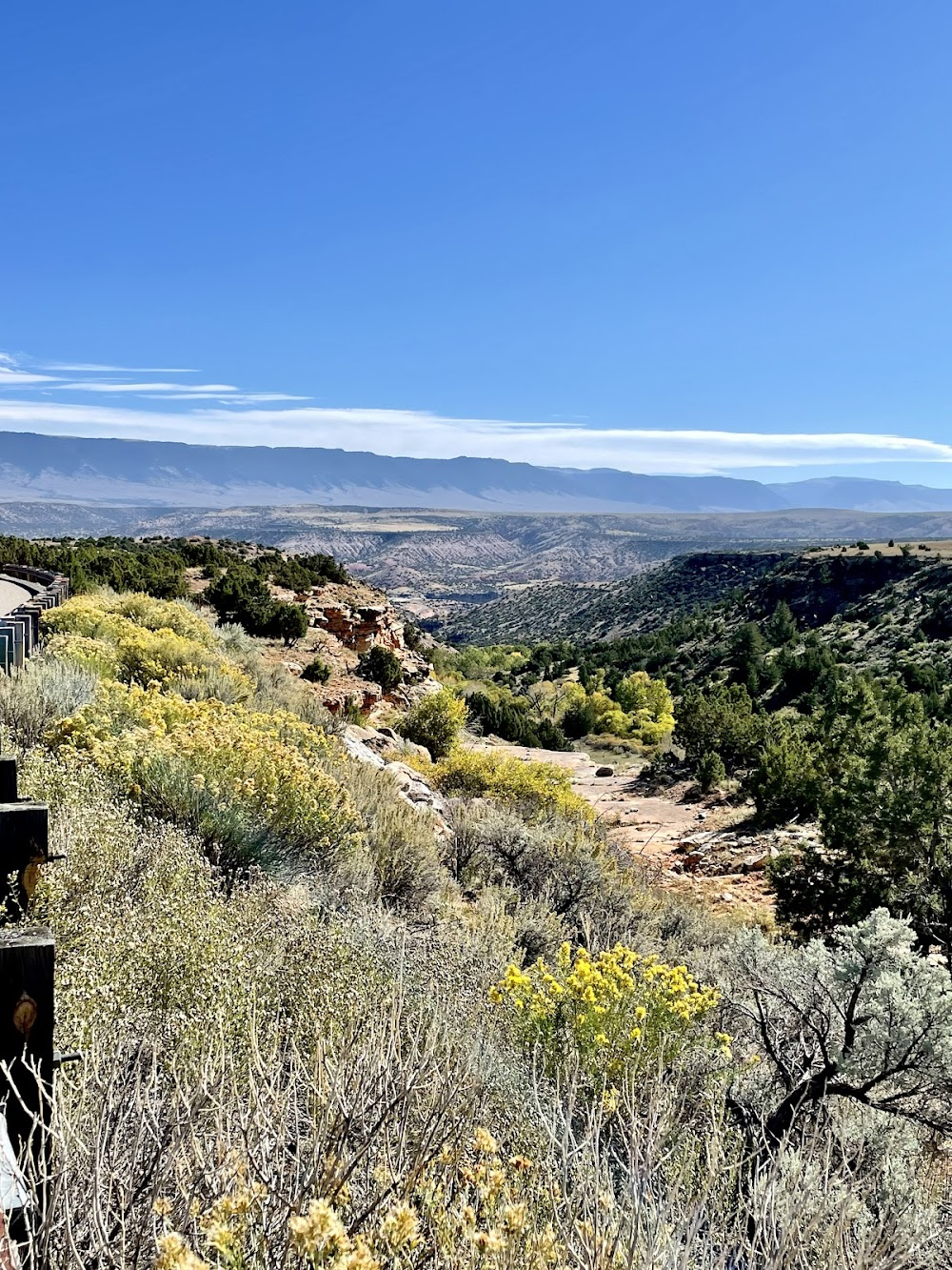 Wild Beauty: Mustang Spirit of the West : on location