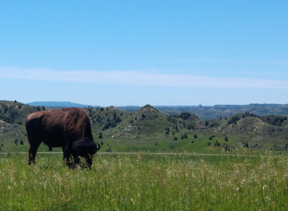 Wild Beauty: Mustang Spirit of the West : on location