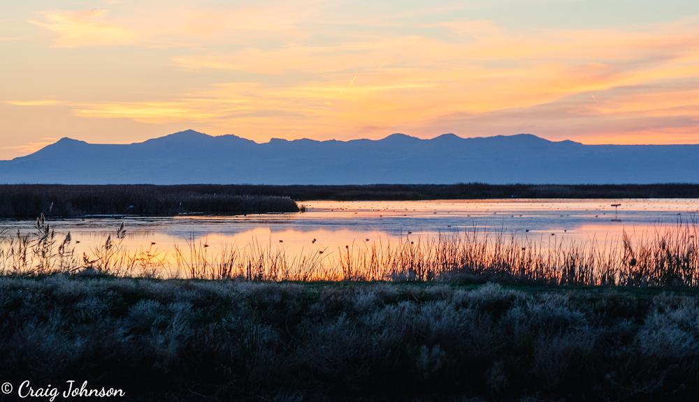 Wind River : 