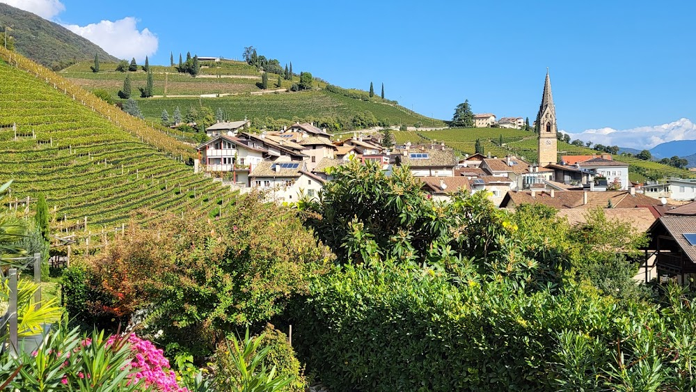 Wine Roads. Along the cycling paths of South Tyrol (Sulle strade dei vini. Un viaggio lungo le ciclabili dell'Alto Adige) : 