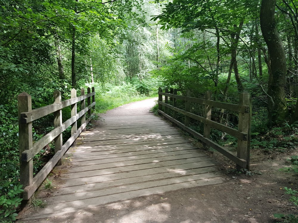 Goodbye Christopher Robin : Forest Locations.