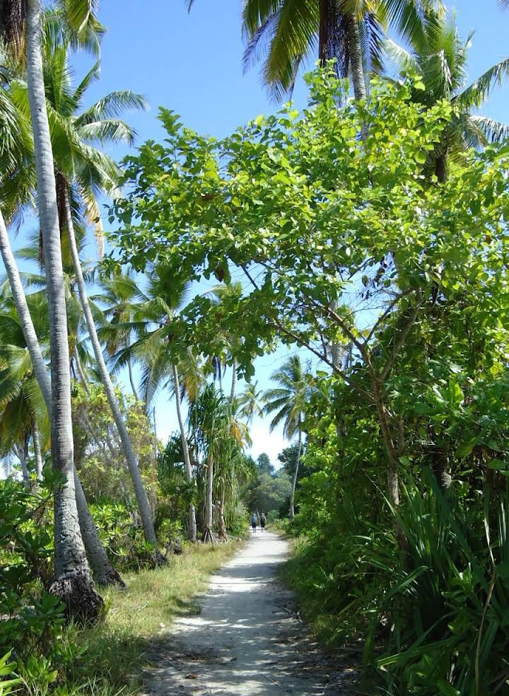 Kiribati: Words from the Last Generation : 