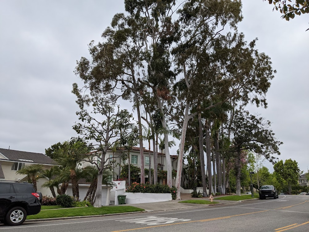 The Finishing Touch : several background houses at 2839 Forrester Drive