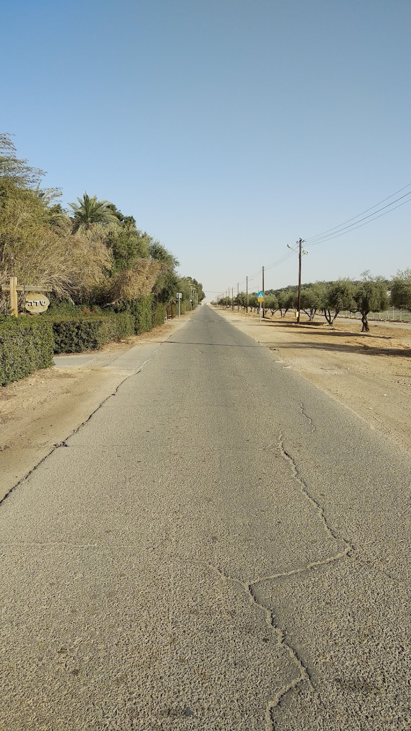 Yellow Peppers : Moshav