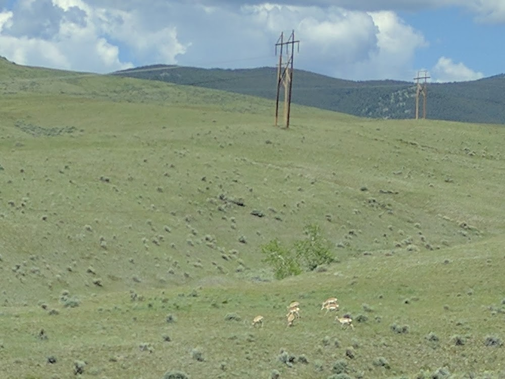 Yellowstone : Highway sequence