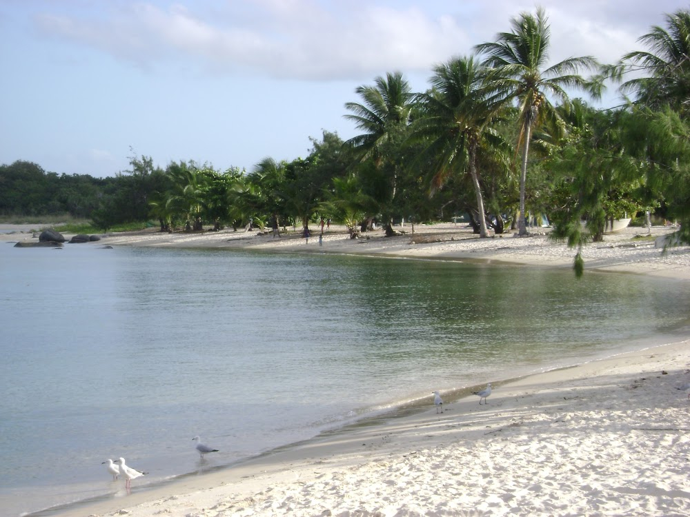 Aborigines of the Sea Coast : 