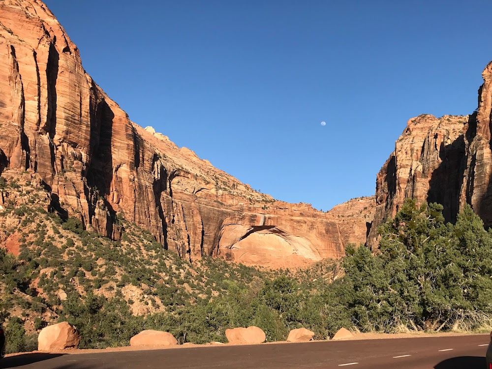 Zion: Canyon of Colour : 