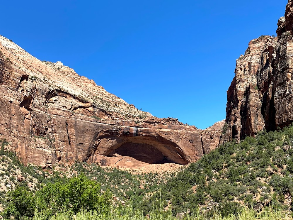 Zion: Canyon of Colour : 