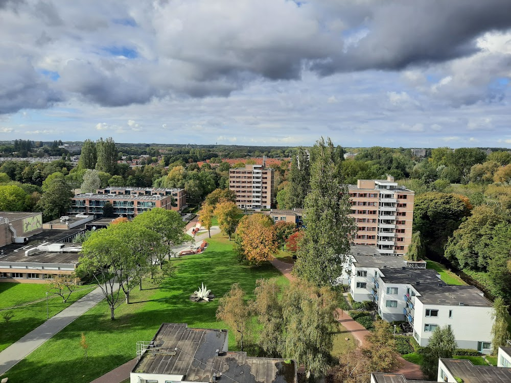 Zuster Lydia zoekt het geluk : 