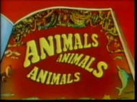 Animals, Animals, Animals filming locations