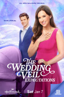 The Wedding Veil Expectations filming locations